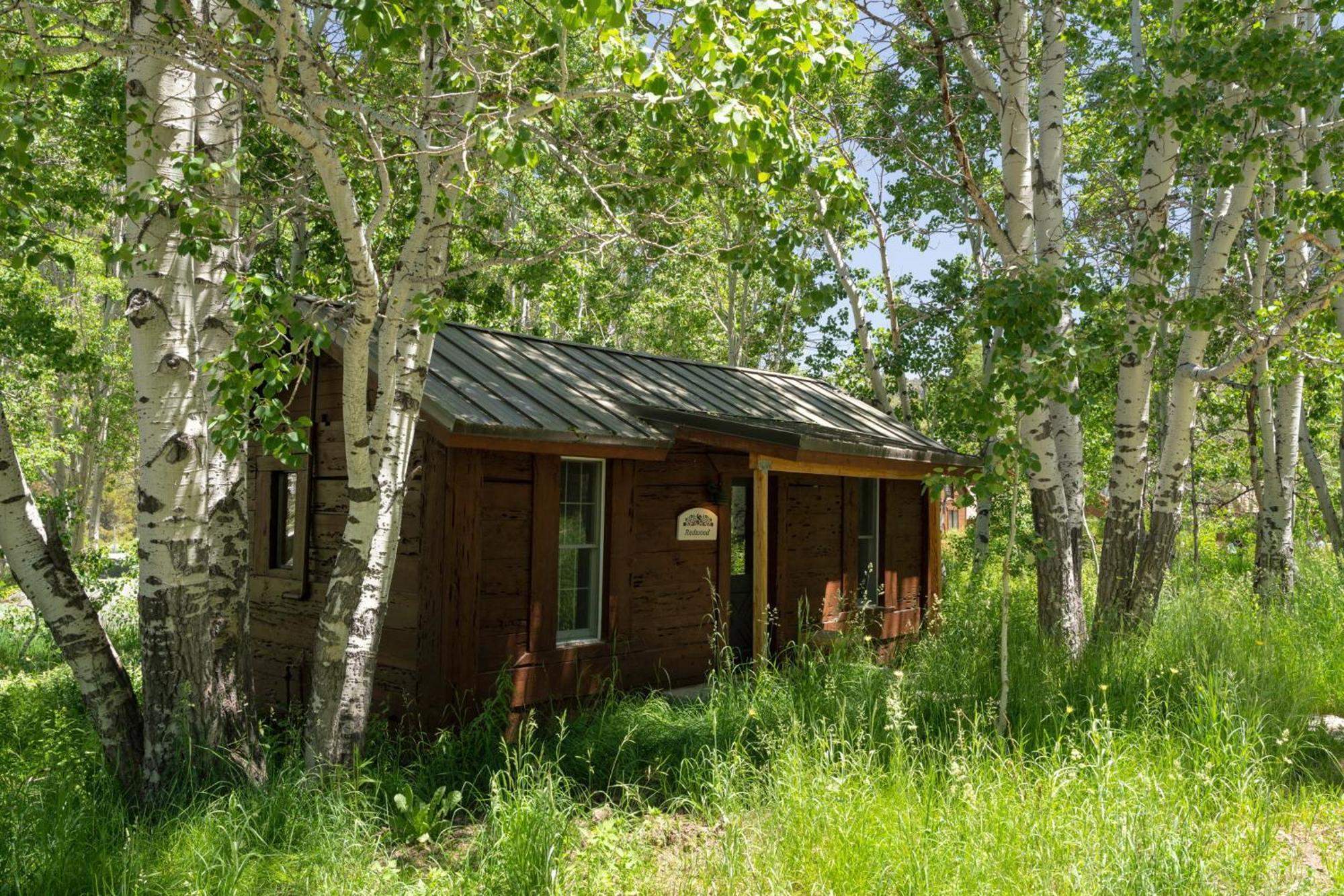 Desolation Hotel Hope Valley Markleeville Habitación foto